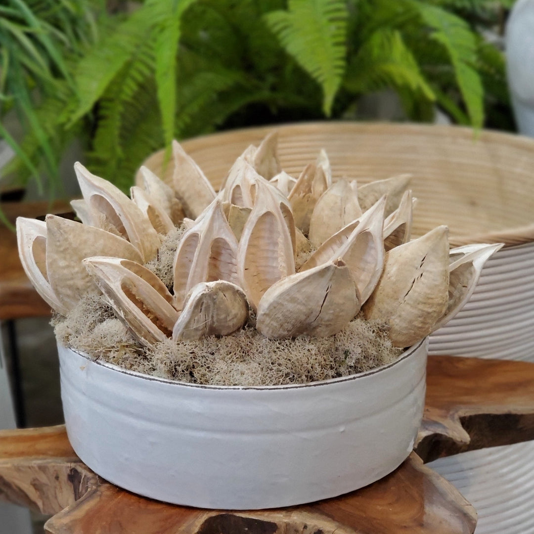 Dried Sora Pods with Reindeer Moss in Bowl 8"H - LDF Silk