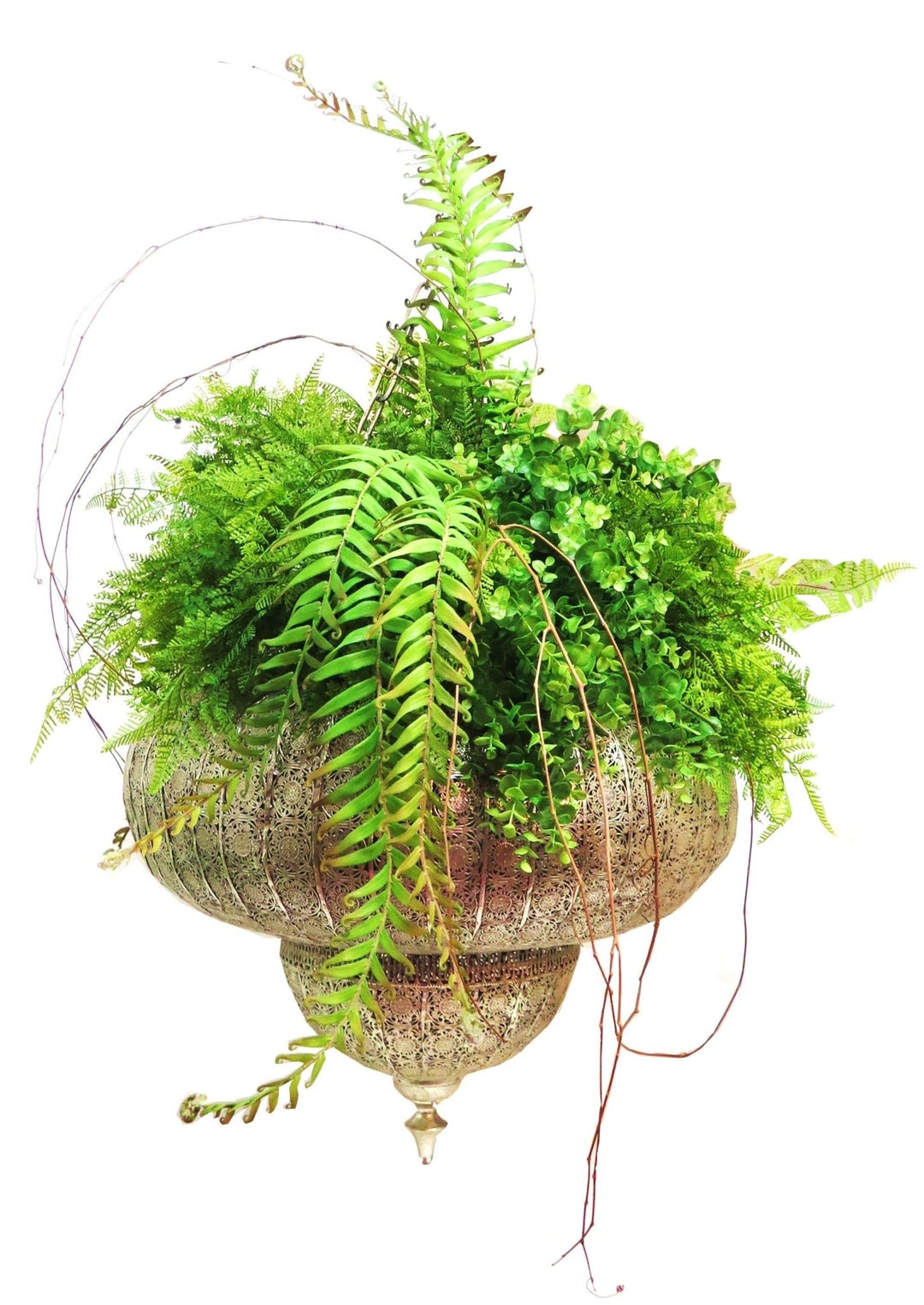 Ferns and Eucalyptus in Hanging Planter - LDF Silkplants