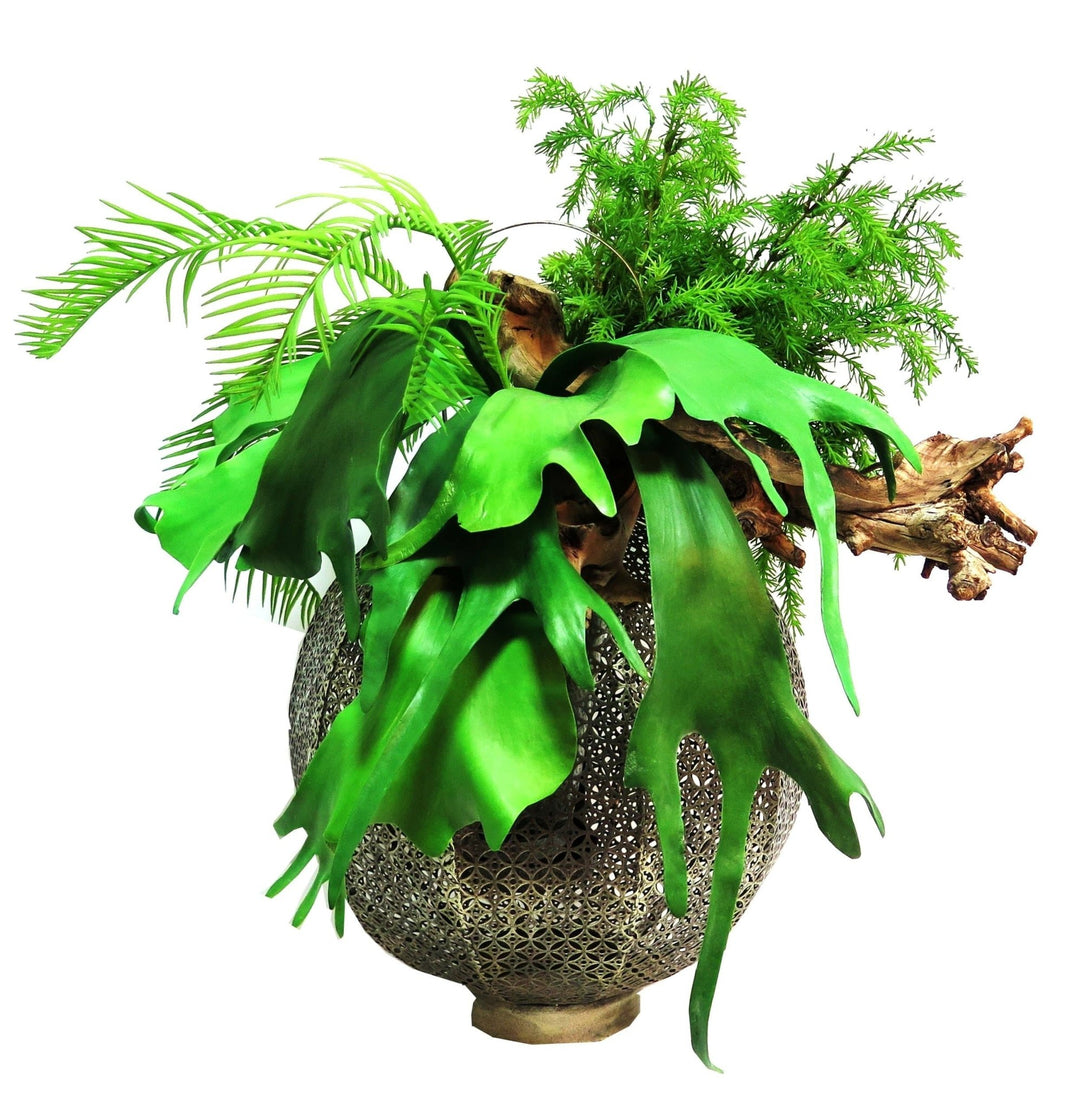 Ferns and Grapewood Branch in Hanging Planter - LDF Silkplants