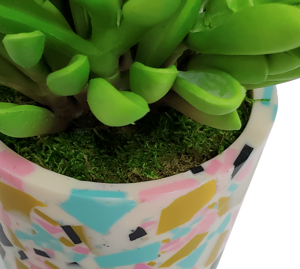 Finger Succulent in Container. FH: 8"H - LDF Silk