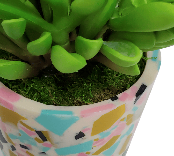 Finger Succulent in Container. FH: 8"H - LDF Silk