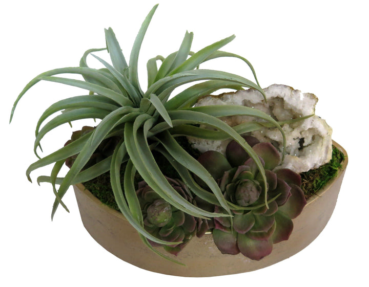 Succulents and Geode in Bowl