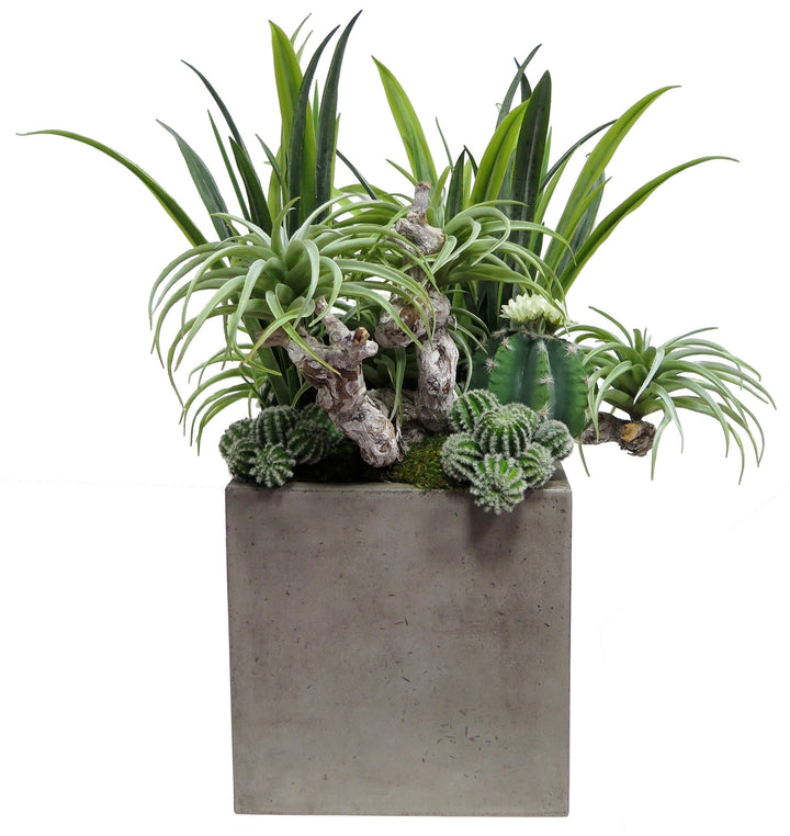 Kalanchoe Leaves and Succulents in Pot