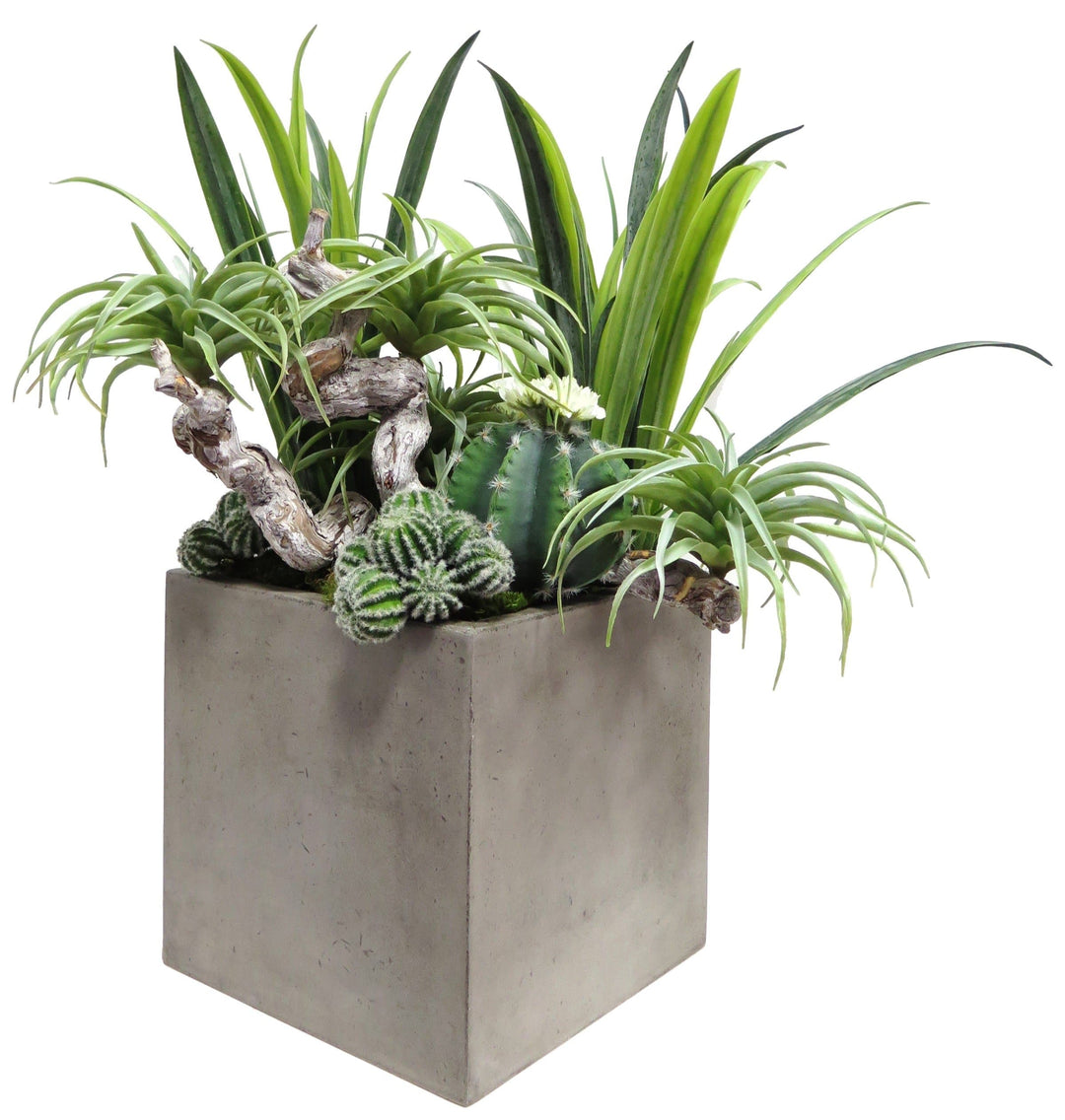 Kalanchoe Leaves and Succulents in Pot