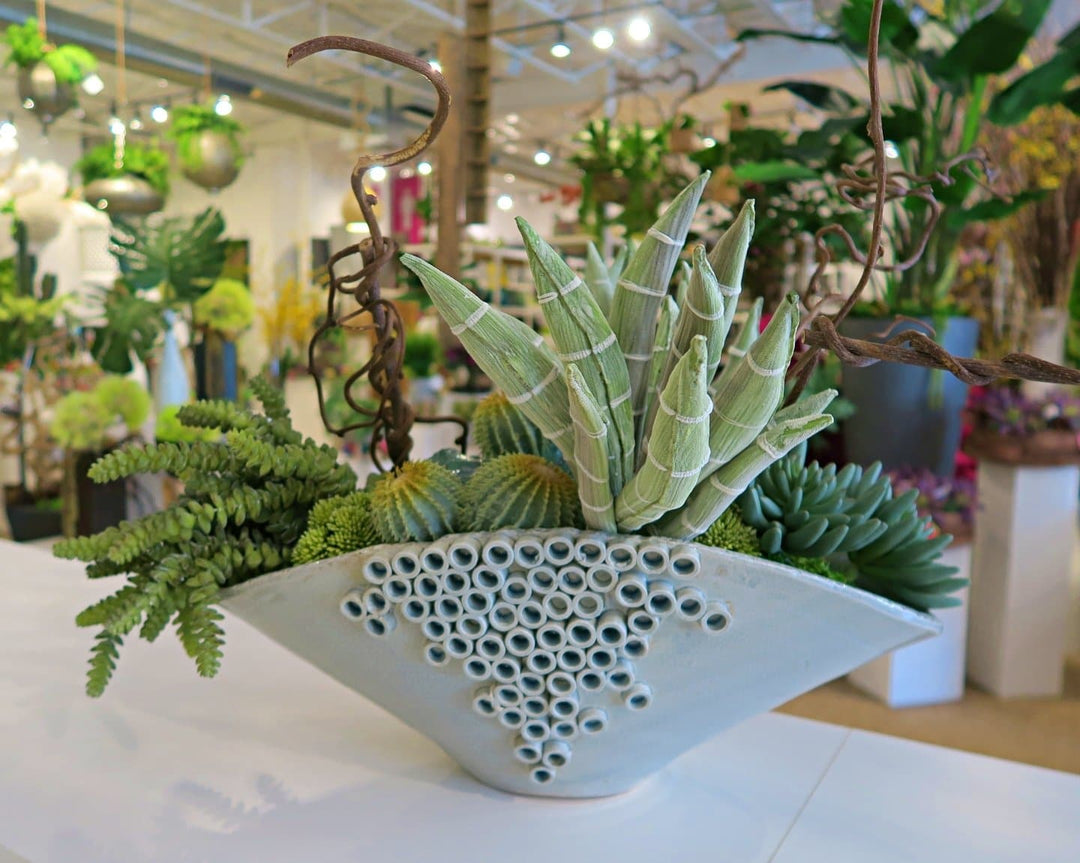 Torch Aloe and Mixed Succulents with Kiwi Vines in Ceramic
