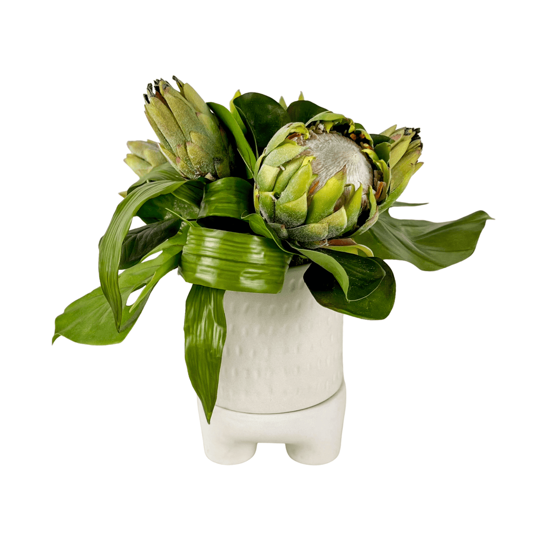 Giant Protea and Tropical Leaves in Ceramic - LDF SilkFlorals