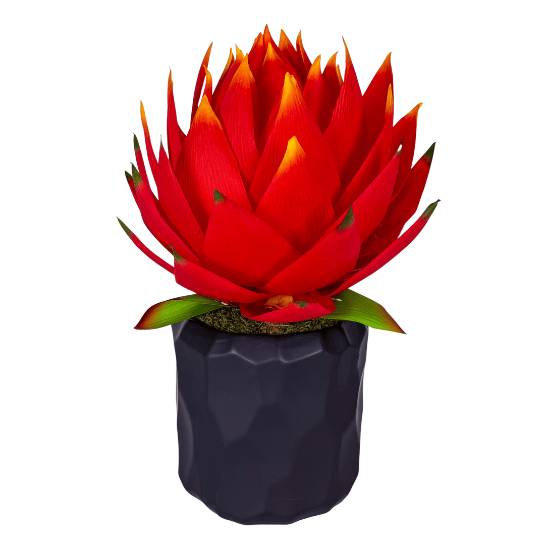 Giant Protea in Ceramic - LDF SilkFlorals