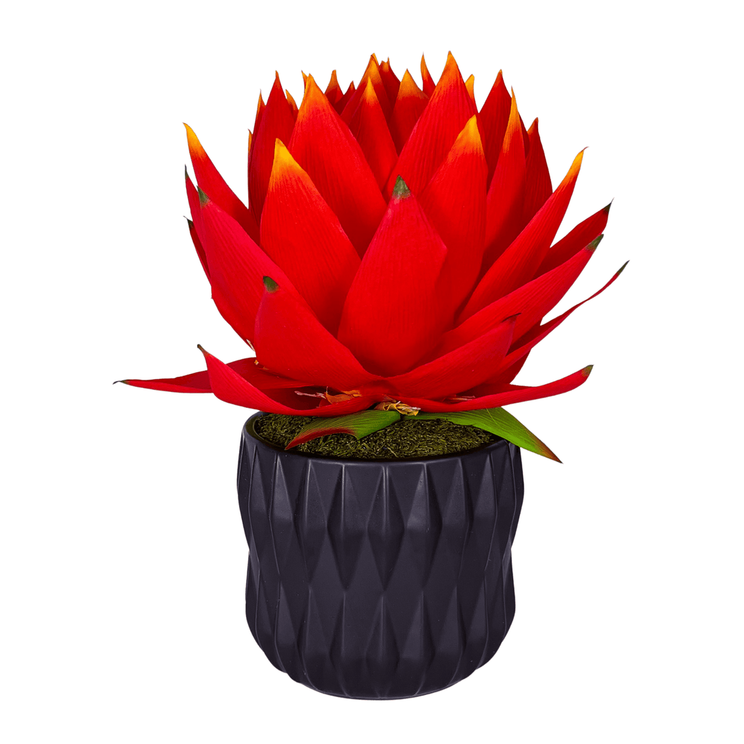 Giant Protea in Ceramic - LDF SilkFlorals