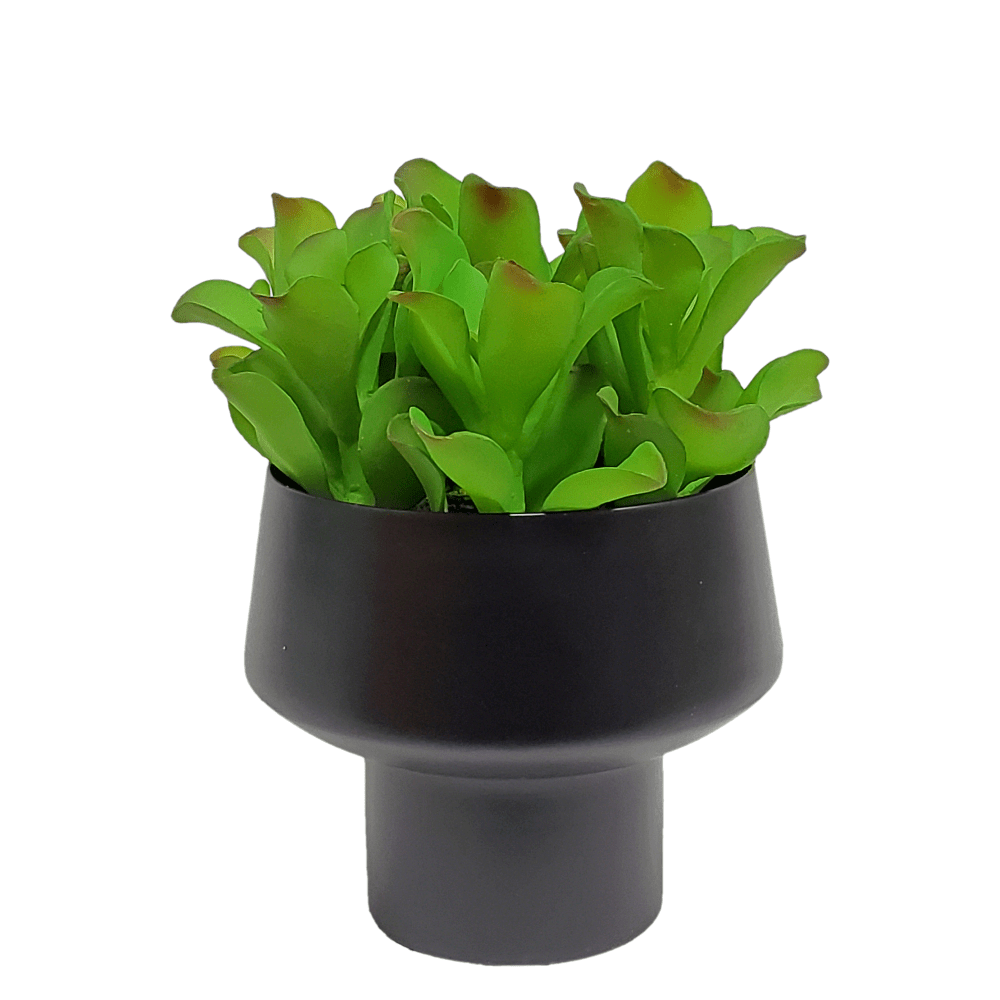 Kalanchoe in Container (Med) 13"H - LDF Silk