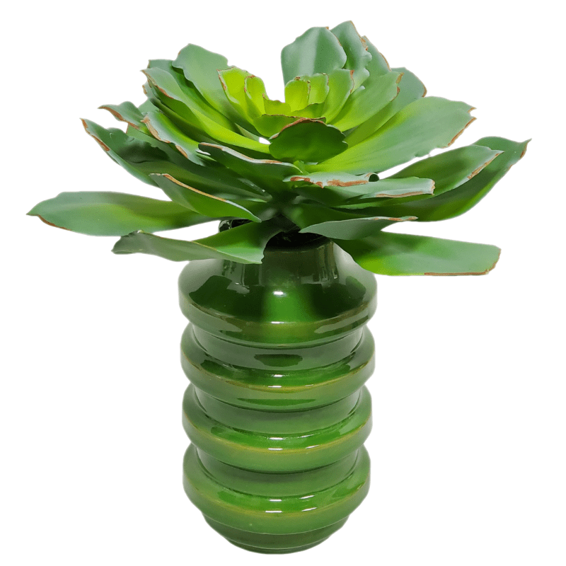 Large Succulent in Ceramic 13"H - LDF Silk