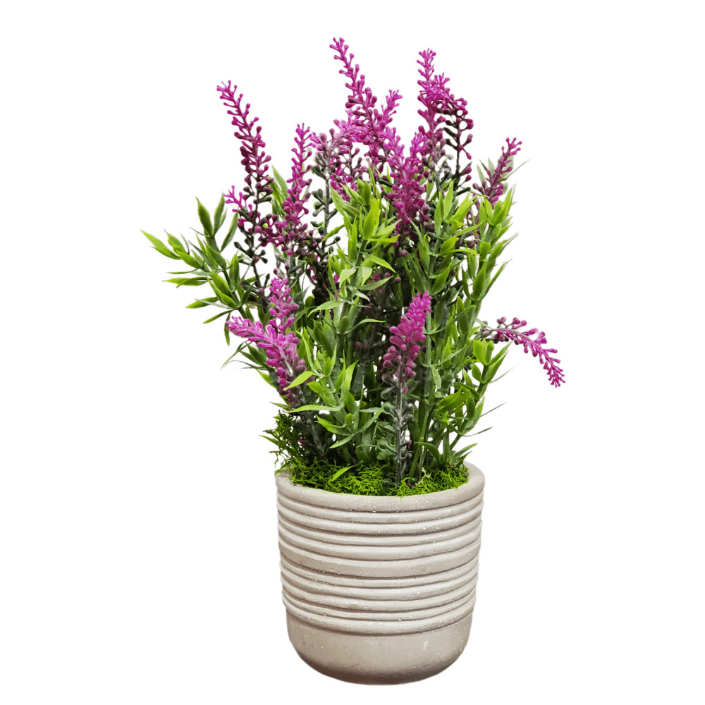 Lavender in Container - LDF Silk