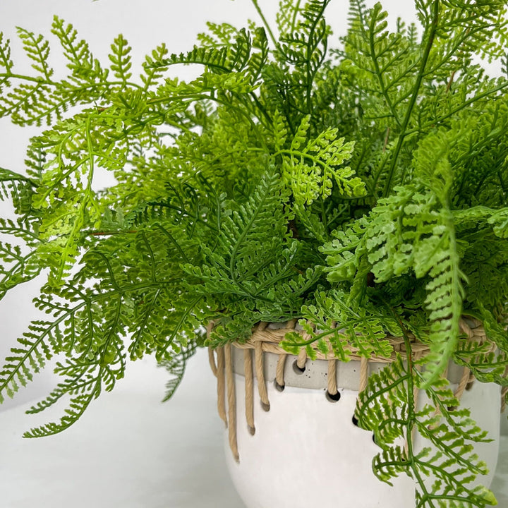 Leather Fern in Ceramic - LDF Silkplants