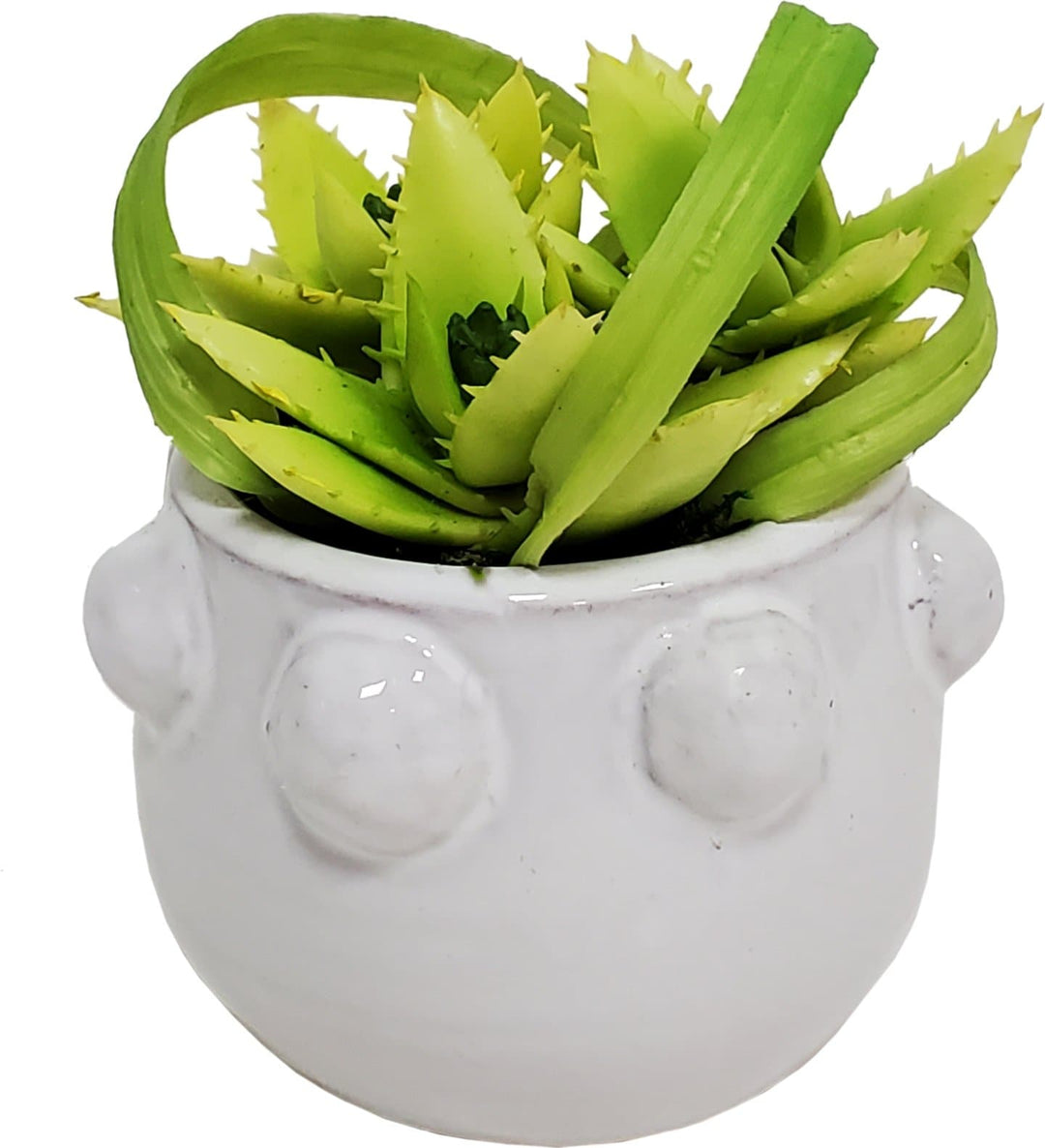 Looped Grass and Protea in Pot 7"H - LDF Silk