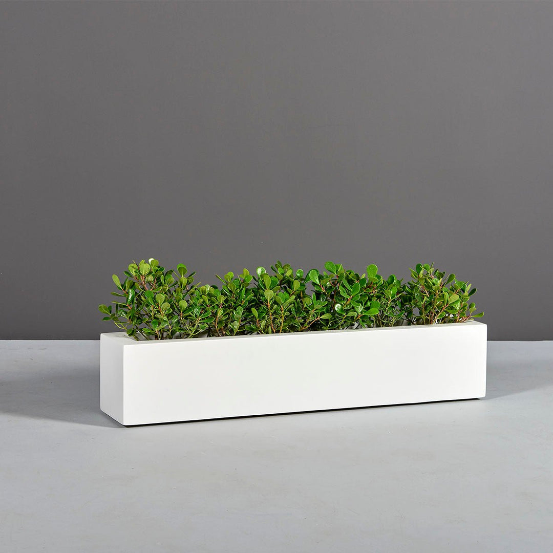 Low Rectangular Planter for Indoor and Outdoor Use 8"H - LDF Silkcontainers