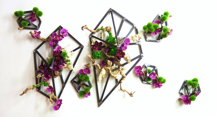 Iron Wall Sculpture Featuring Grapewood with Orchids and Allium Spheres