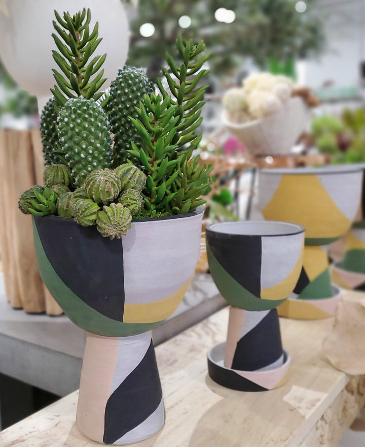 Mixed Cacti with Senecio in Container 26"H - LDF Silk