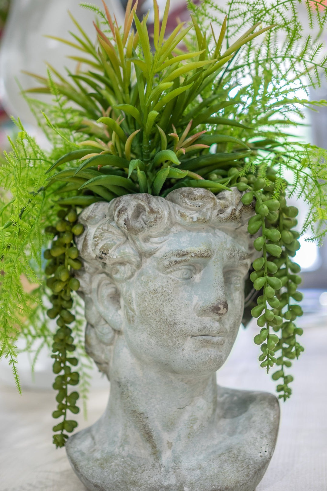 Mixed Ferns & Succulents in Concrete Head 17"H - LDF Silk