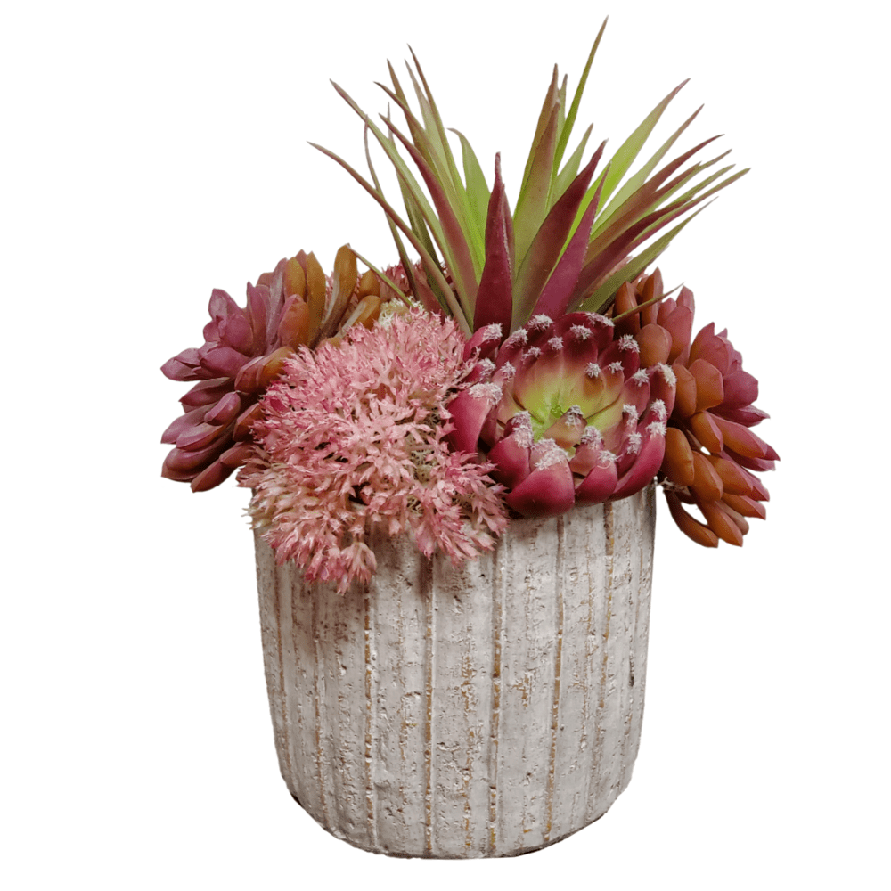 Mixed Succulents in Container 9"H - LDF Silk