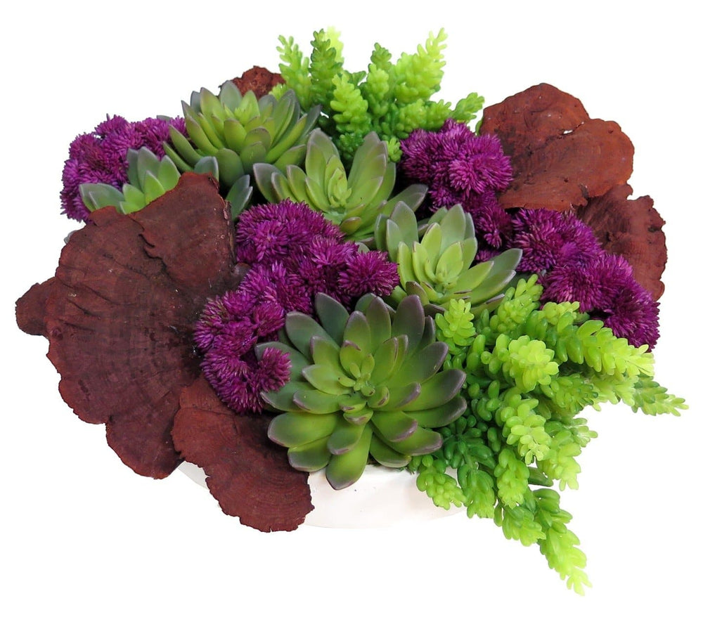 Mixed Succulents with Sponge Mushrooms in Ceramic - LDF SilkSucculent