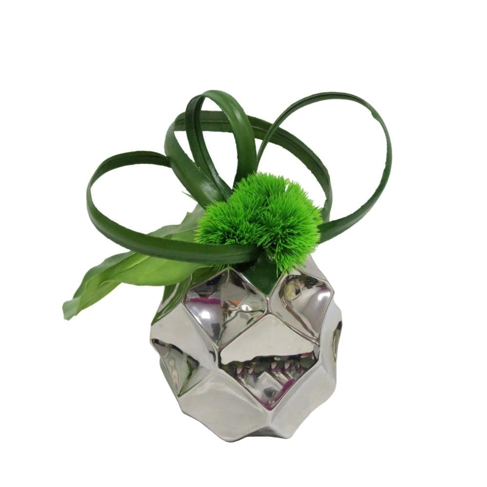 Monstera and Looped Orchid Leaves with Allium Spheres in Ceramic - LDF SilkSucculent