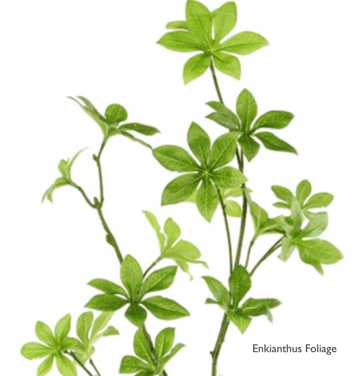 Natural Branches with Hand Drilled Foliage - Various Foliage Options Available - LDF Silk