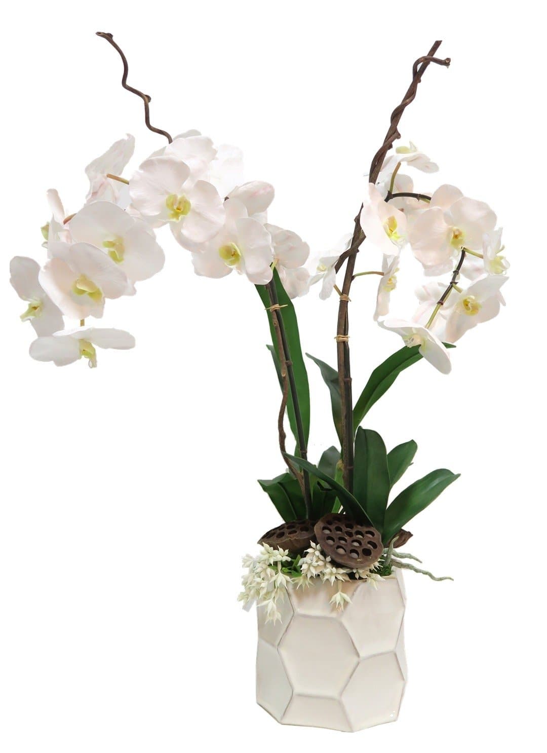 Orchids and Kiwi Vine in Ceramic - LDF Silk