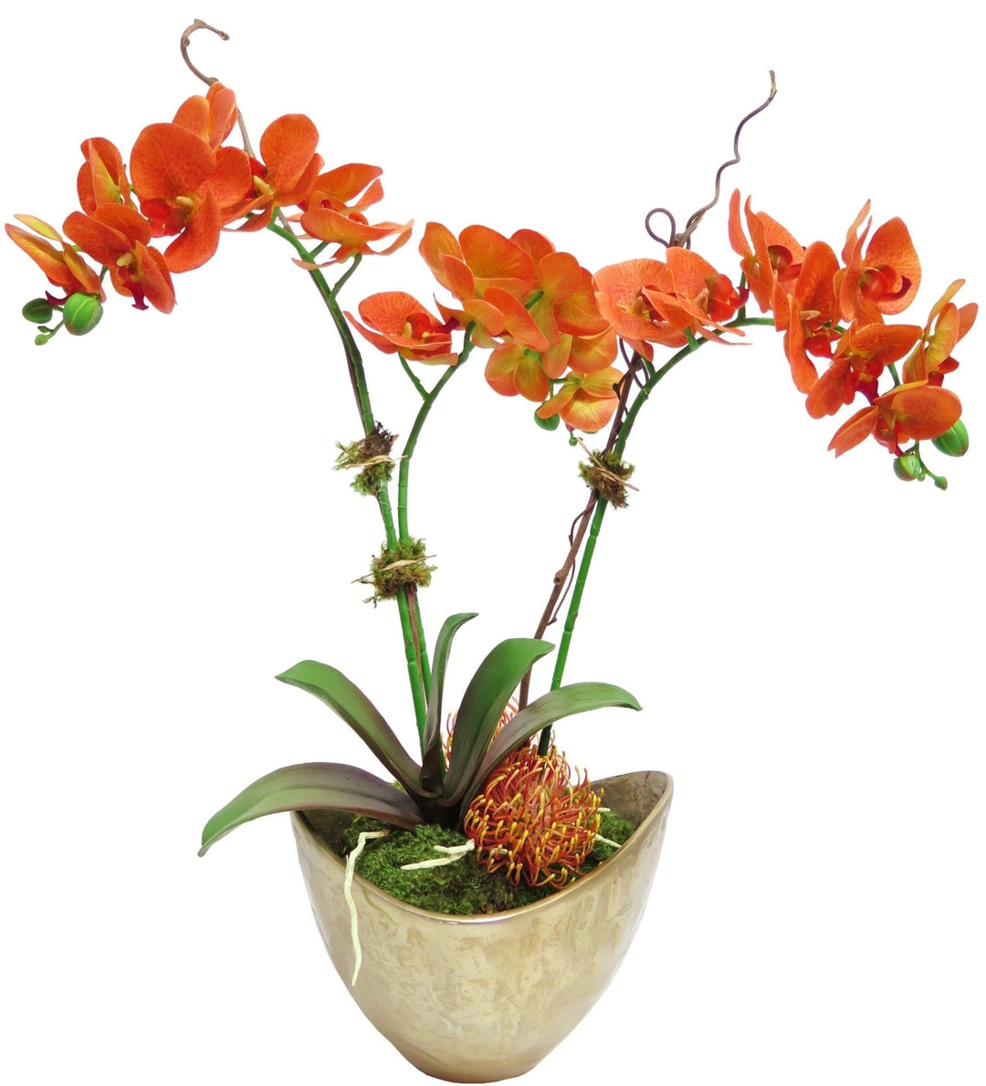 Orchids and Protea in Bowl - LDF SilkFlorals