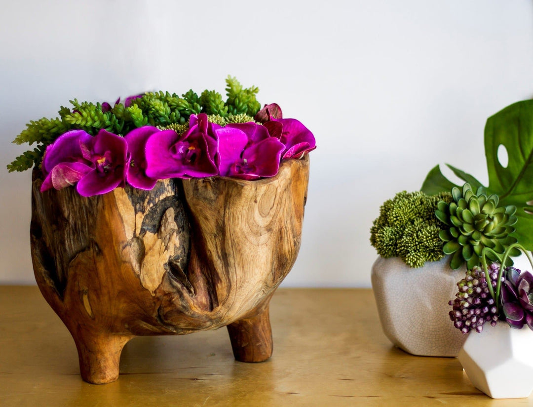 Orchids with Sedum and Moss in Bowl - LDF SilkFlorals