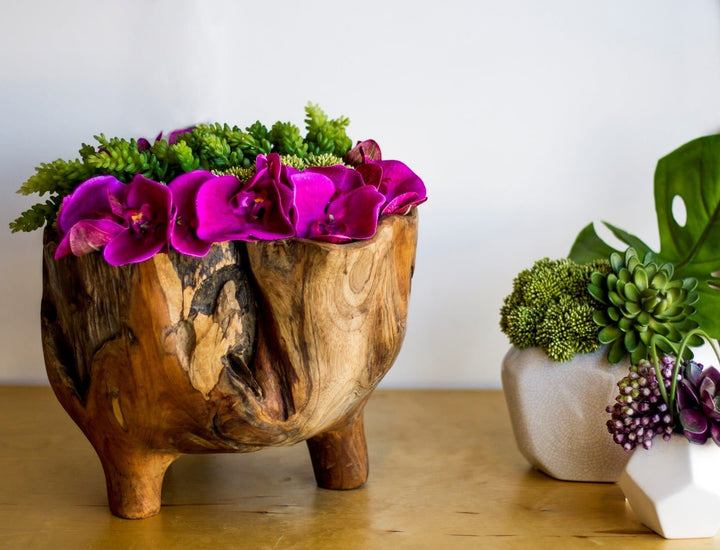 Orchids with Sedum and Moss in Bowl - LDF SilkFlorals