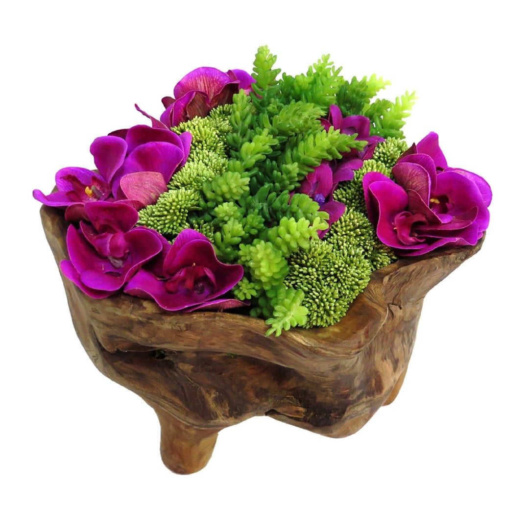 Orchids with Sedum and Moss in Bowl - LDF SilkFlorals