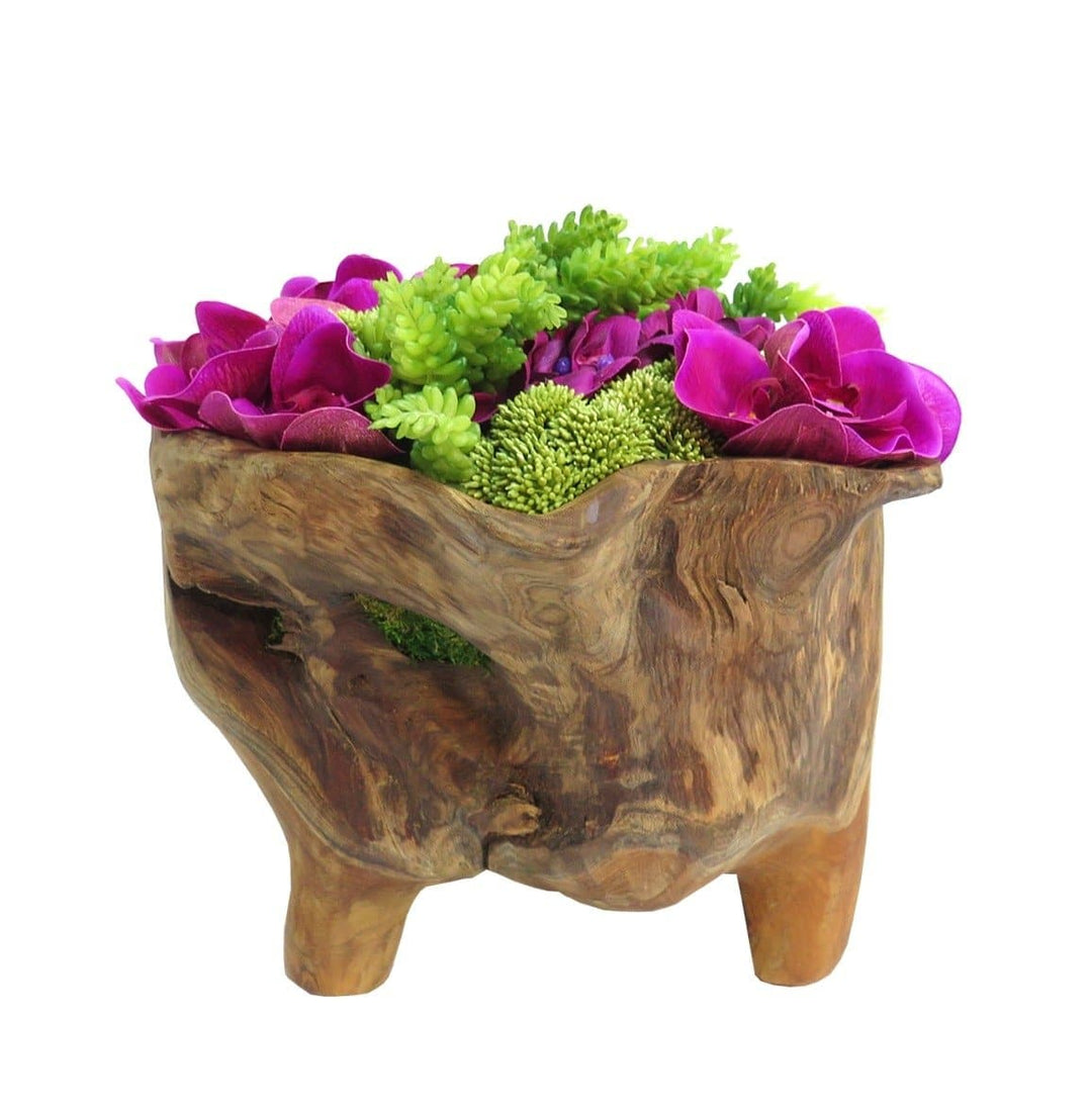 Orchids with Sedum and Moss in Bowl - LDF SilkFlorals