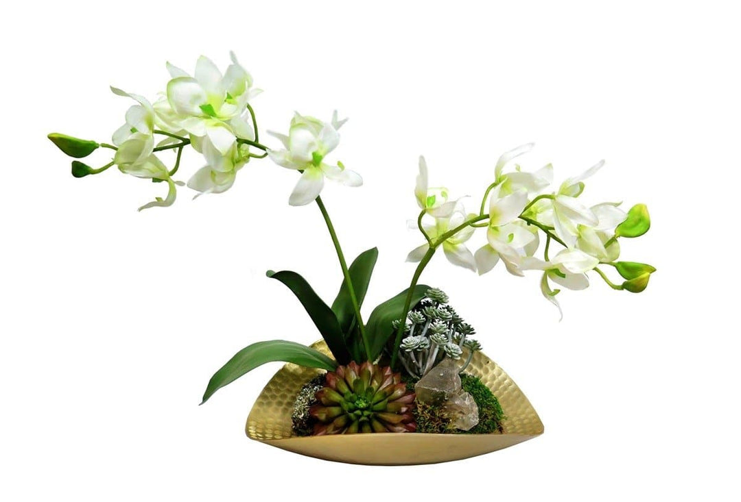 Orchids with Succulents and Crystals in Tray - LDF SilkFlorals