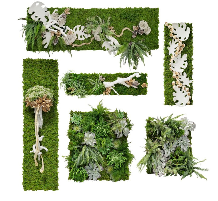Organic Wall Art with Mixed Ferns, Succulents and Real Touch Moss 38"H - LDF Silk