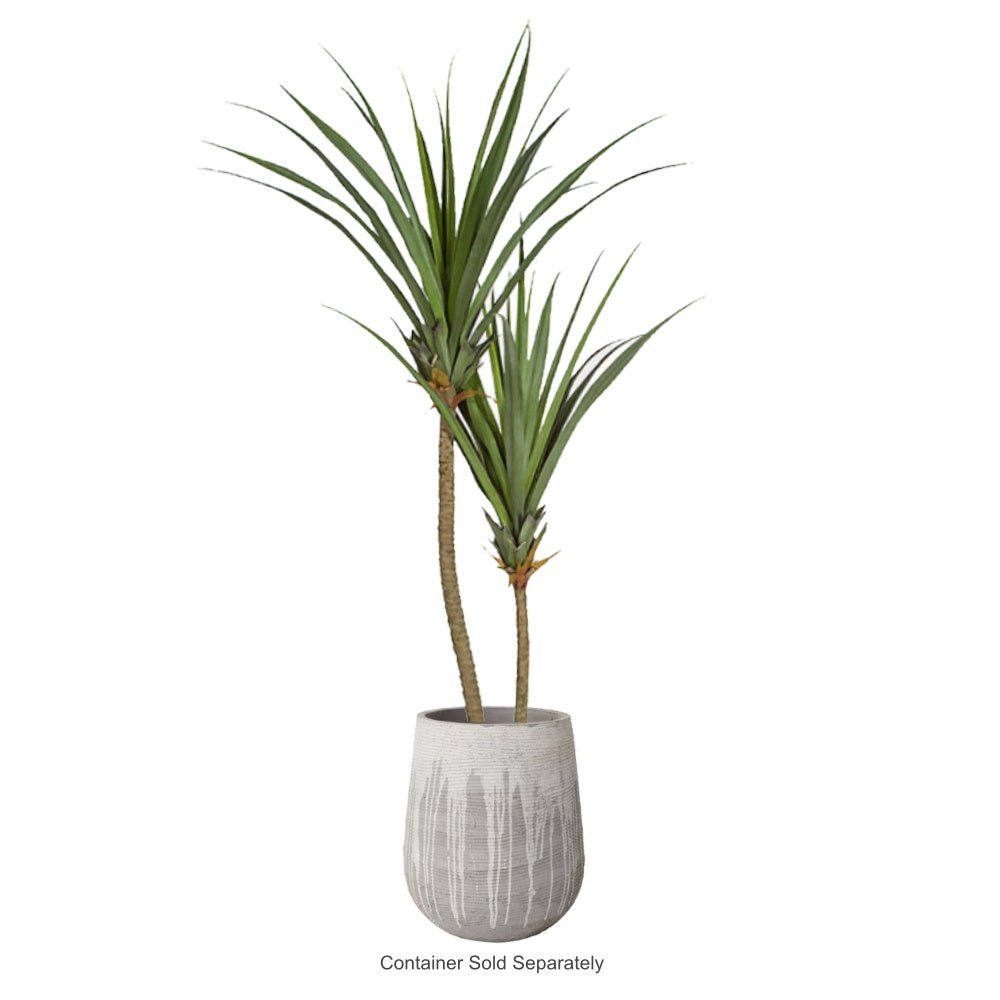 can you plant a pine tree in a pot Outdoor Double Screw Pine Tree in Grow Pot 8'H – LDF Silk