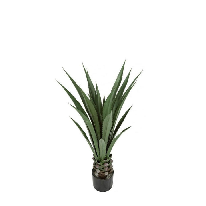Outdoor IFR Agave in Grow Pot - Various Sizes Available - LDF Silk