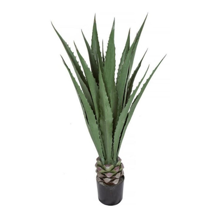 Outdoor IFR Agave in Grow Pot - Various Sizes Available - LDF Silk