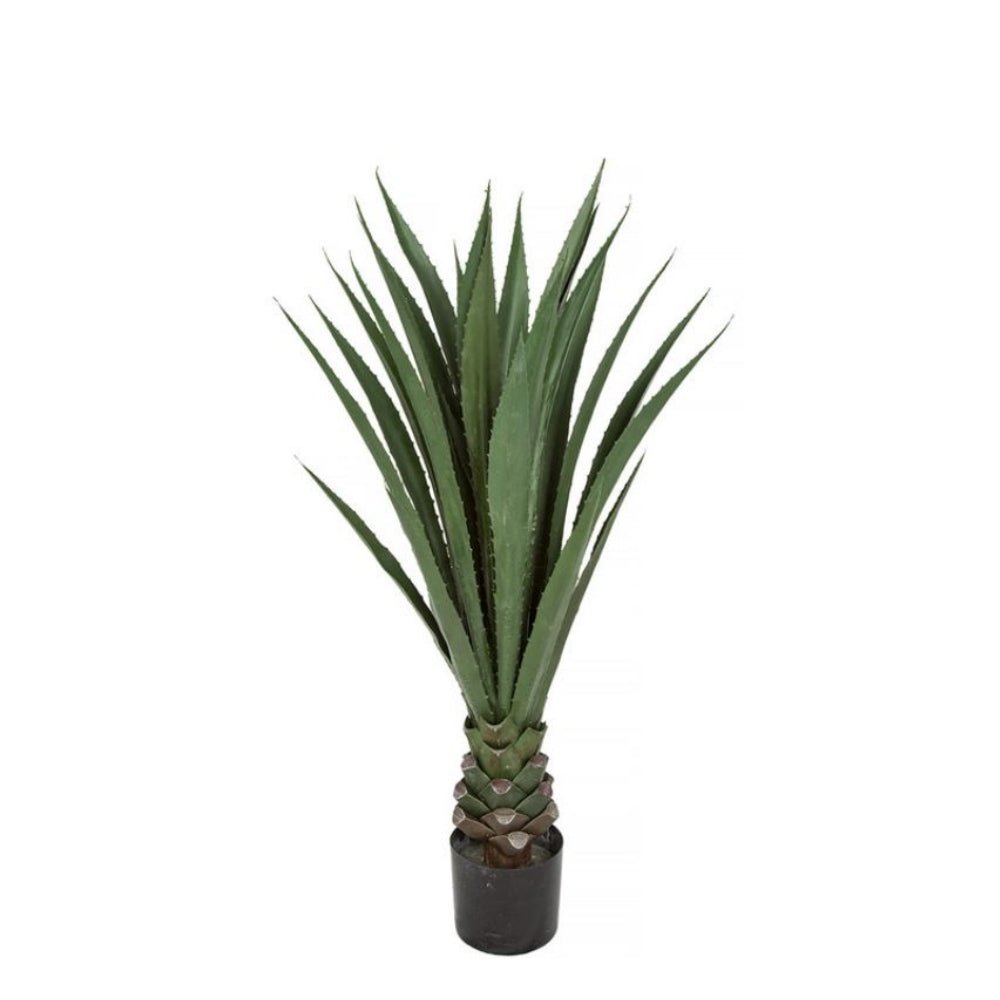 Outdoor IFR Agave in Grow Pot - Various Sizes Available - LDF Silk