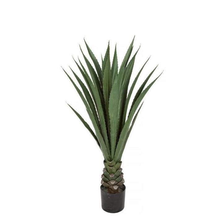 Outdoor IFR Agave in Grow Pot - Various Sizes Available - LDF Silk