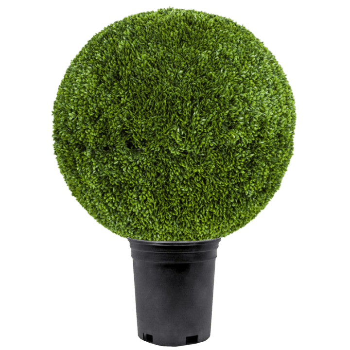 Outdoor Japanese Boxwood Ball - Various Sizes Available - LDF Silk