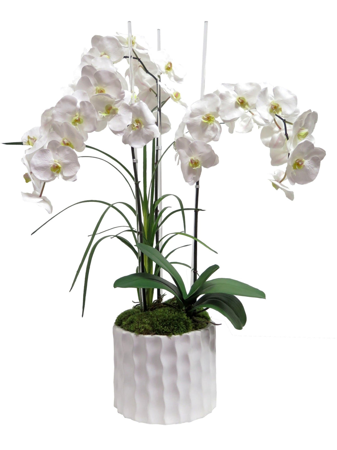 Phalaenopsis Orchids on Acrylic Rods in Ceramic - LDF SilkFlorals