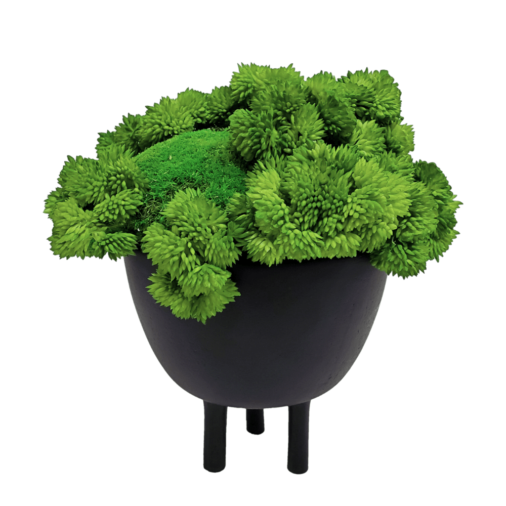 Preserved Mood Moss with Seed Clusters in Bowl 10"H - LDF Silk