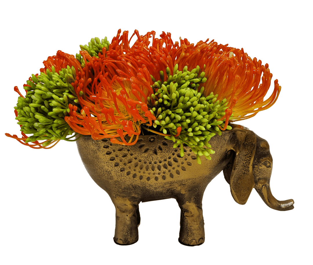 Protea and Seed Clusters in Elephant Planter - LDF SilkFlorals