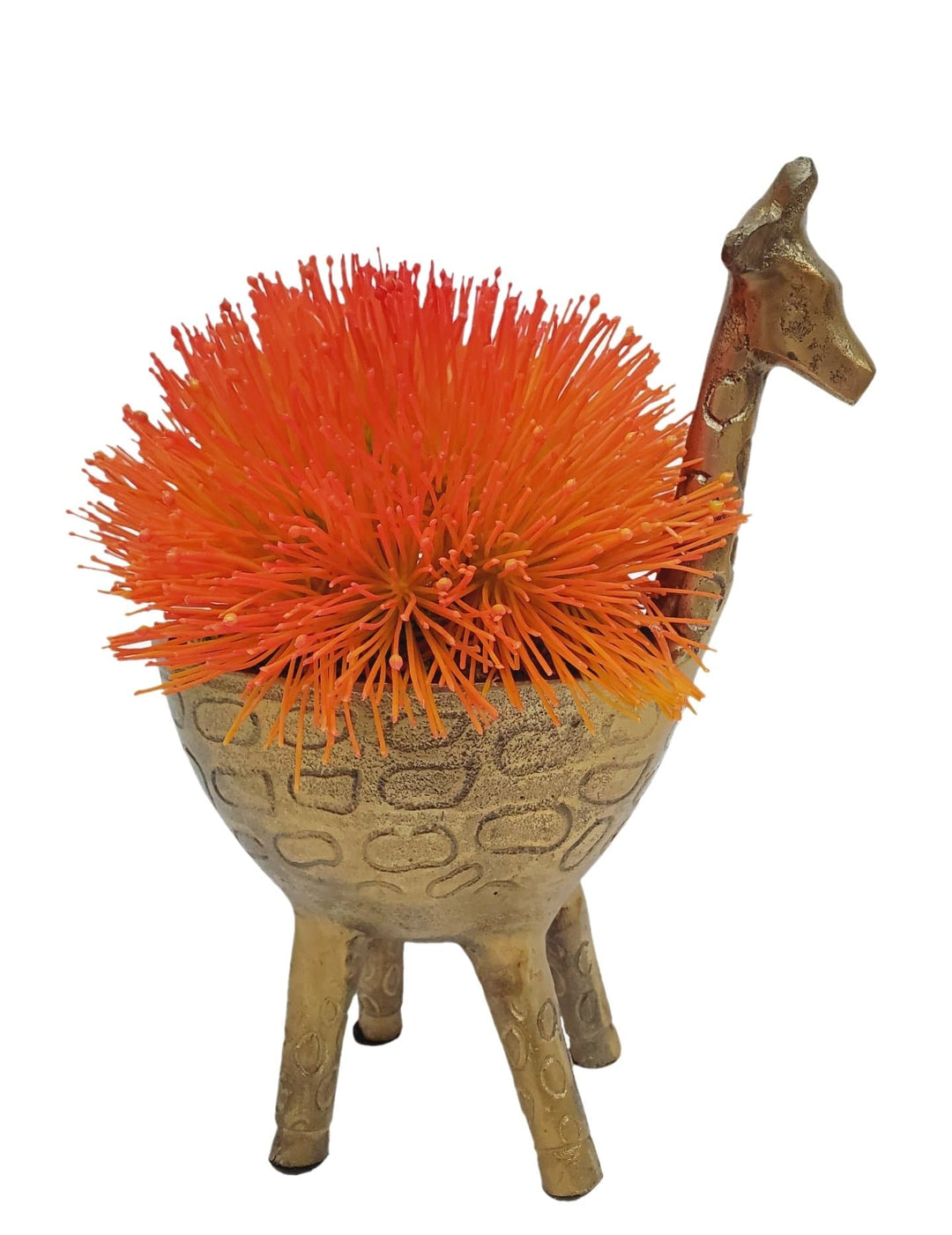 Protea in Giraffe Planter - LDF SilkFlorals