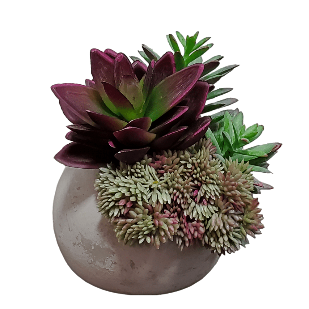 Purple Succulent and Sedum in Orb 5.5"H - LDF SilkSucculent