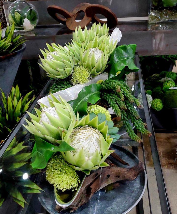 Queen Protea, Succulents and Tropical Leaves with Selenite Sticks in Container - LDF Silk
