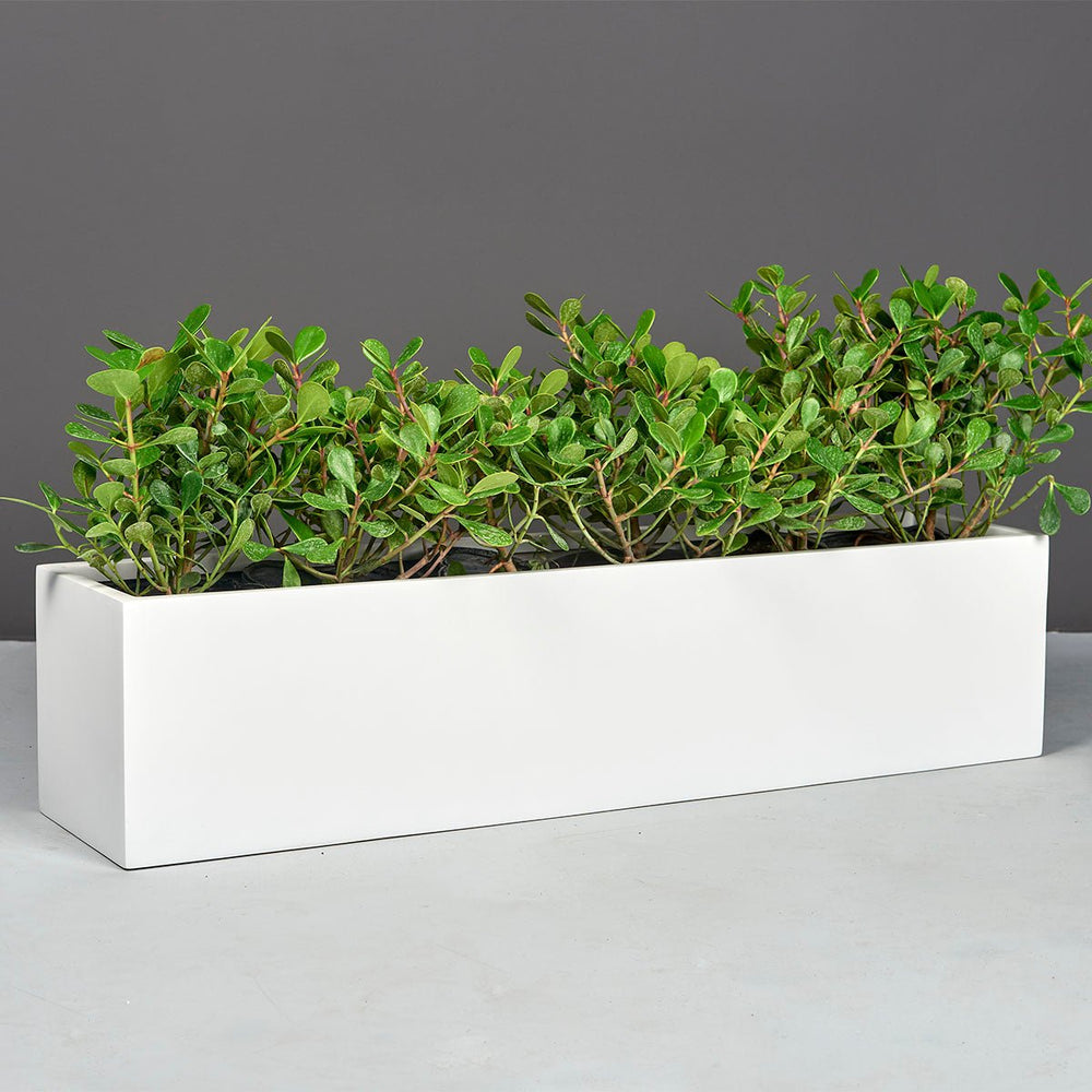 Rectangular Tabetop Planter for Indoor and Outdoor Use - LDF Silkcontainers