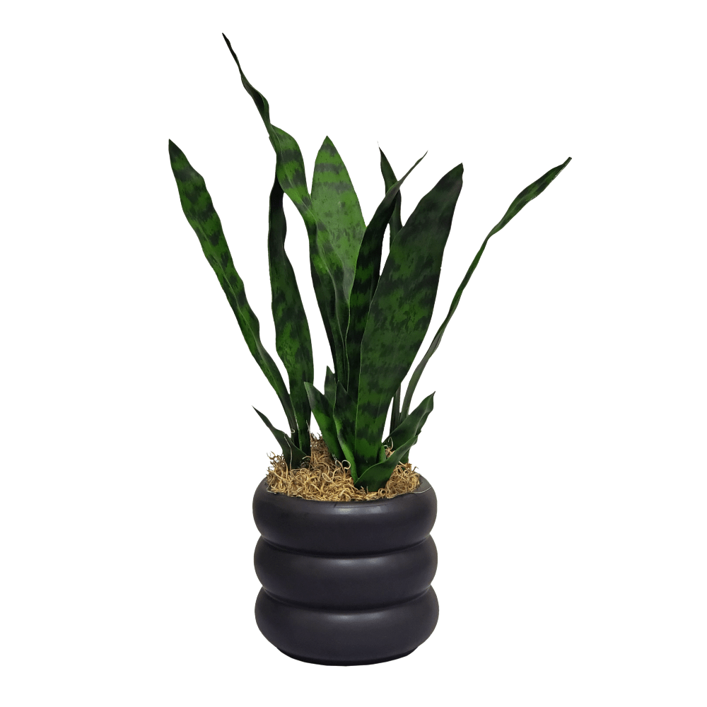 Sansevieria with Spanish Moss in Ceramic 18"H. - LDF SilkArtificial Flora