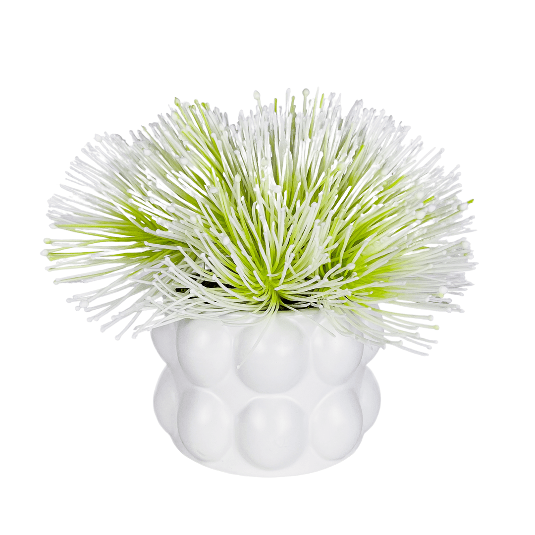 Sea Urchin Flowers in Pot - LDF SilkFlorals