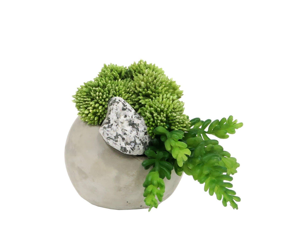Sedum and Speckled Rock in Pot 4.5"H - LDF Silksucculents