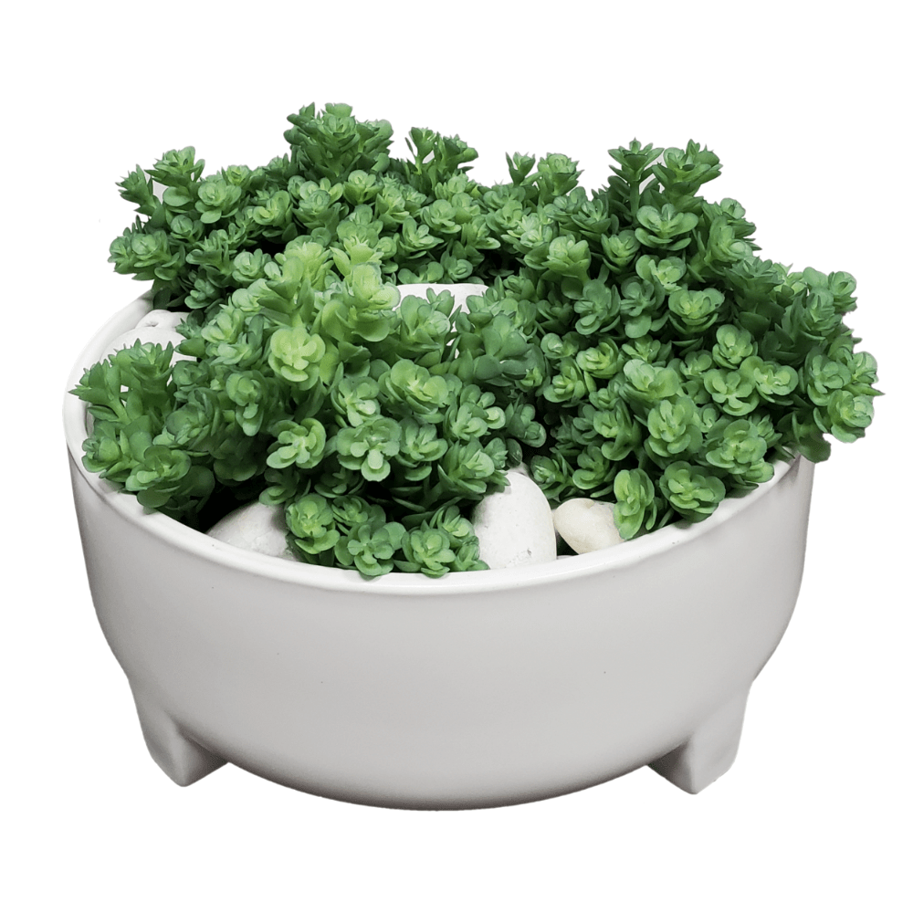 Sedum with River Rocks in Ceramic 9"H - LDF Silk
